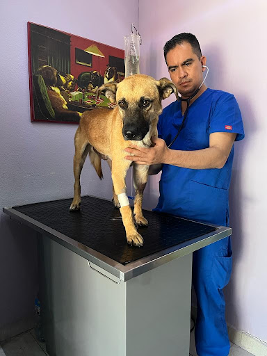 Veterinaria Y Estetica Canina "Los Pastores" Suc. Huehuetoca