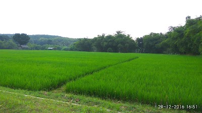 Photos of Danau Tanjungan