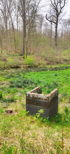 Schönbrunnen-Teich - Thumbnail
