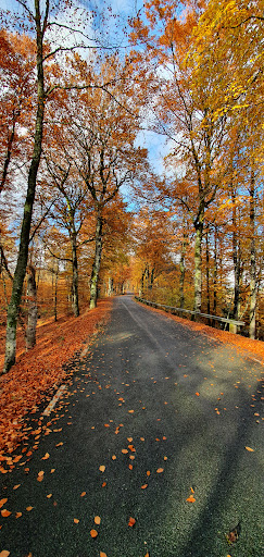 Kroppsjön - Visual