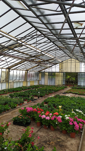 Plantas Nuñez - Thumbnail