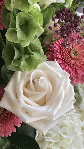 B.G. Blooms - Thumbnail