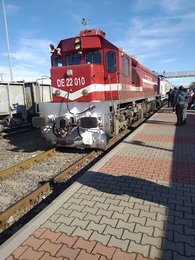 Tcdd Genç İstasyonu