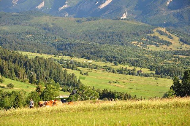 Tatras