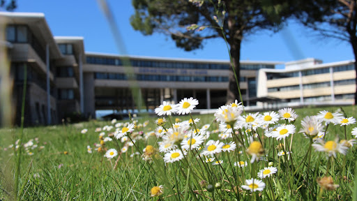 Department of Aude