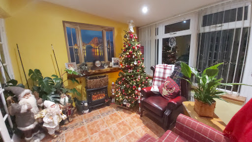The Kilted Christmas Tree Company Ltd