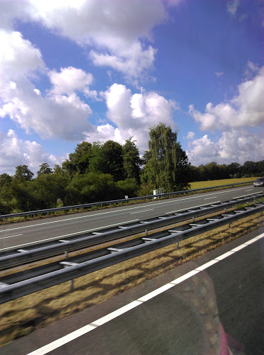 Kwekerij Dikkenberg - Thumbnail