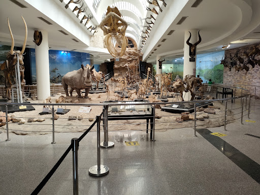 Giza Zoo Gallery - United States