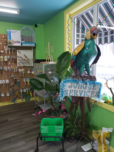 Jungle Services | Parrot Store and Grooming - Thumbnail