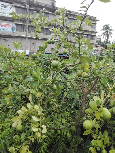 Photos of Abakash