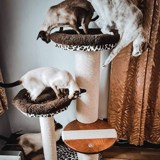 Cosy Posts - Visual