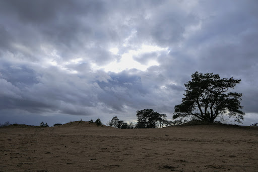 Het Kootwijkerzand - Thumbnail