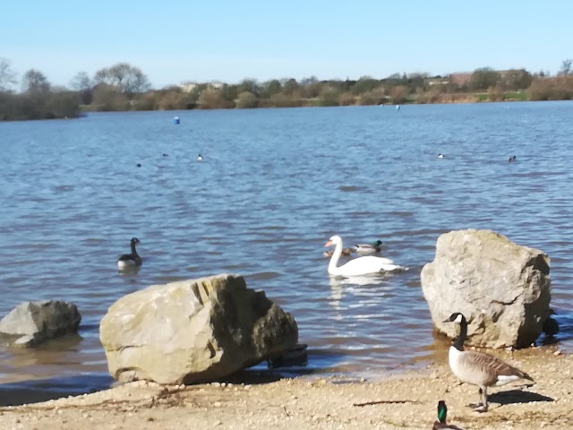 Attenborough Nature Reserve