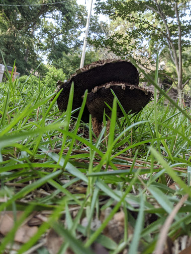 Pine Knoll Association Inc - Thumbnail