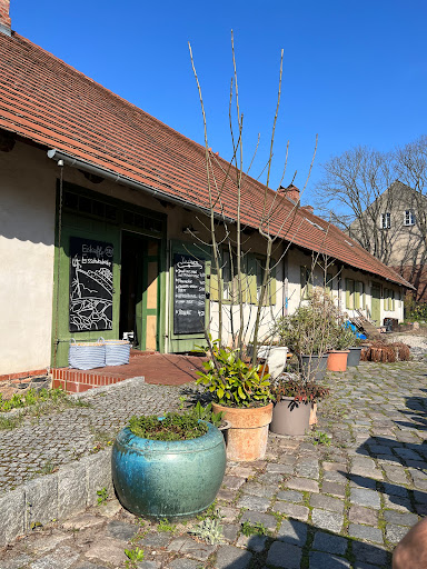 Café Lehmsofa - Visual