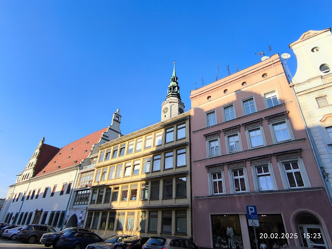 Ratusz w Brzegu - Grafik