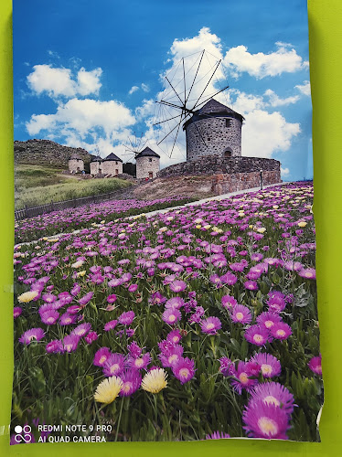 copyWright - Φωτοτυπείο