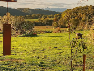 Photo n°32 de Camp Willow à Tajan (Réserve naturelle)