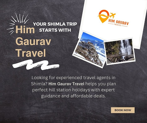Looking for experienced travel agents in Shimla? Your search ends with Him Gaurav Travel, the mos… post image