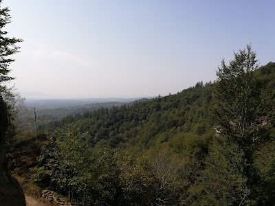 Photos of შუა ამაღლების ეკლესია