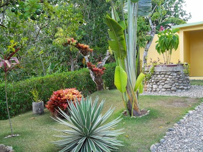 Photos of PuPla Cigars SRL.