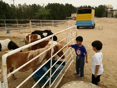 Photos of Yousef Shams Al-Deen Farm