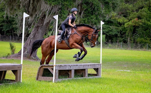 Hanover Stables - Visual