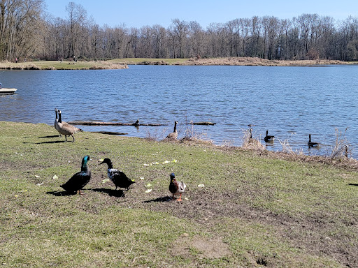 Trojan Park - Visual