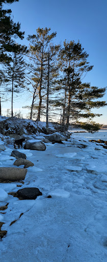 Snow Natural Area - Blue Hill Heritage Trust - Thumbnail