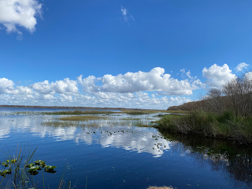 Kissimmee Chain of Lakes Area Wildlife Management Area - Drasdo - Thumbnail