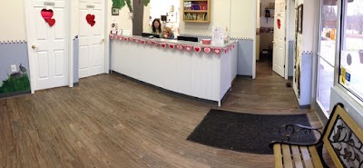 Photos of Animal Hospital of East Davie