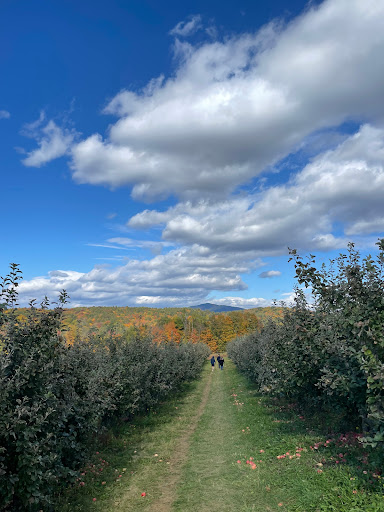 Wellwood Orchards Inc. Gallery - United States