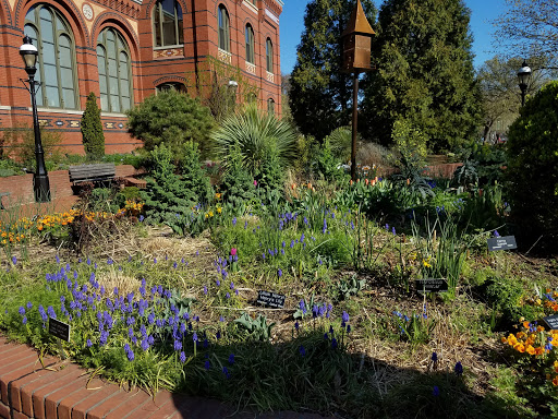 Smithsonian Pollinator Garden - Thumbnail