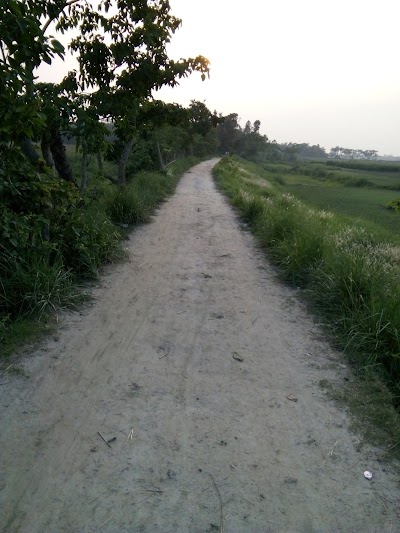 Photos of Lauta Bus Stop
