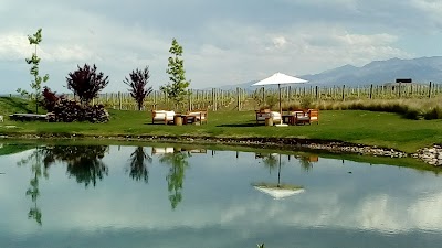 Photos of The Vines of Mendoza: Tasting Room