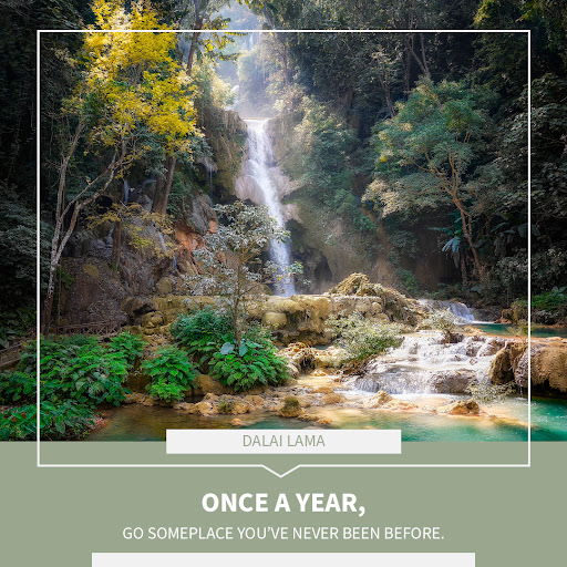Shaver Travel Group LLC