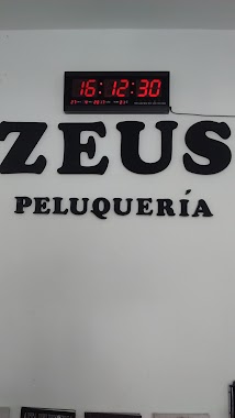 Zeus Peluqueria 2, Author: Milagros Alderete