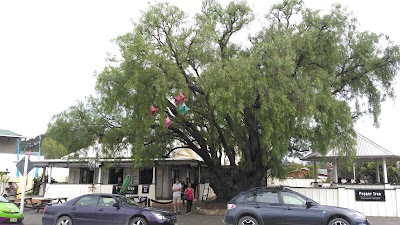 Photos of Pepper Tree Restaurant and Bar