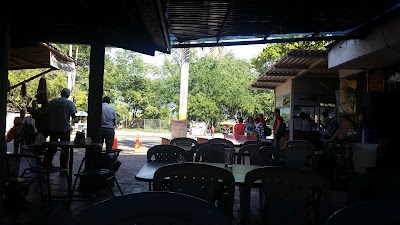 Photos of La Central del Transporte
