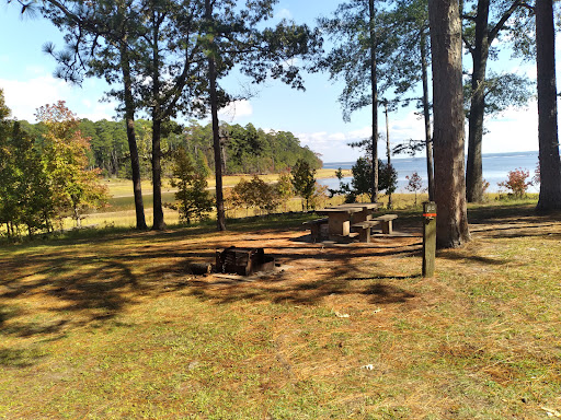 Rayburn Park - Visual