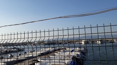 Photos of Gemlik Liman Başkanlığı