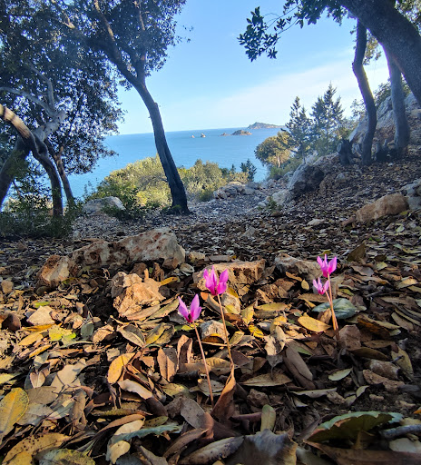 Cala Riu Giudine - Thumbnail