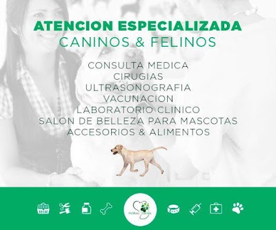 Photos of Cl&iacute;nica Veterinaria Flora Y Fauna
