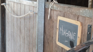 Photo n°1 de Poney Club de Landaul à Landaul (Centre de loisirs)