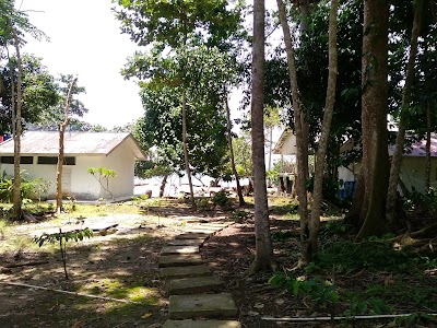 Photos of Kiluan Dolphin