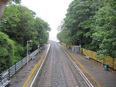 Photos of Fota Train Station