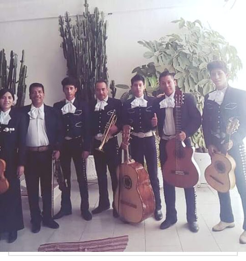 Mariachi Juvenil "Gallos de Oro"