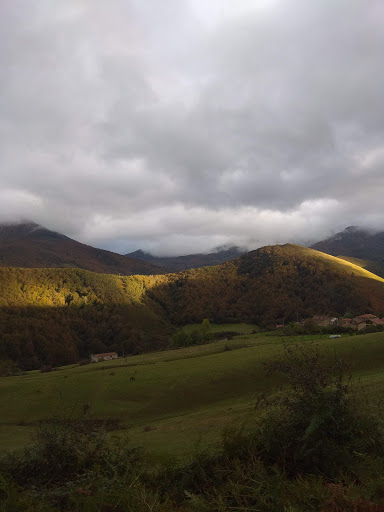 Hayedo de Lombraña