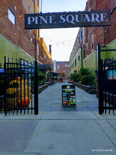 Pine Square - Visual