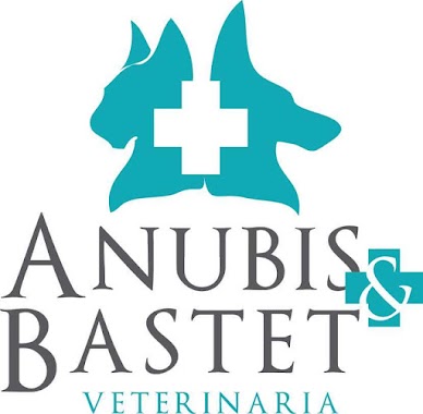 Veterinaria Anubis & Bastet, Author: Mica Gauto